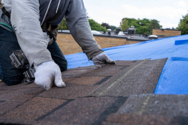 Best Storm Damage Roof Repair  in Kenton, TN