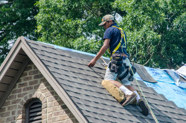 Professional Roofing Contractor in Kenton, TN